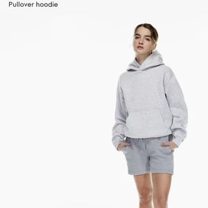 Aritzia grey hoodie
